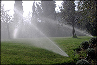 Irrigazione Giardini